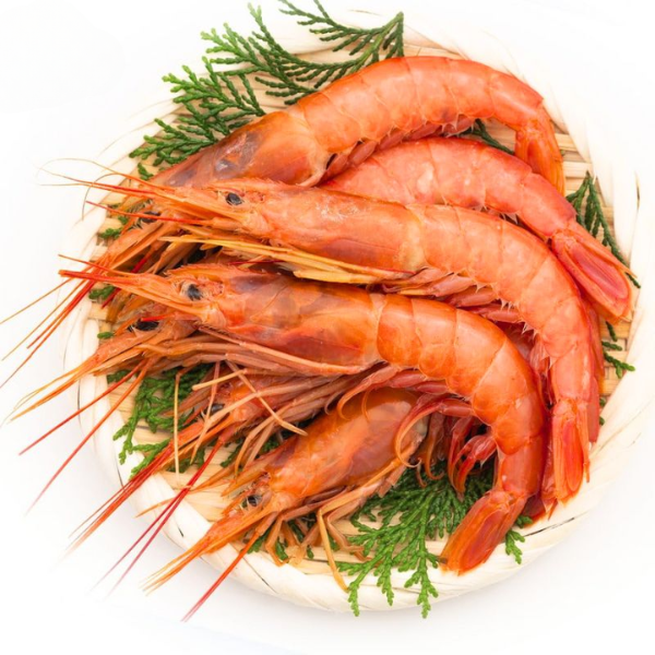 Tôm đỏ Nhật Bản