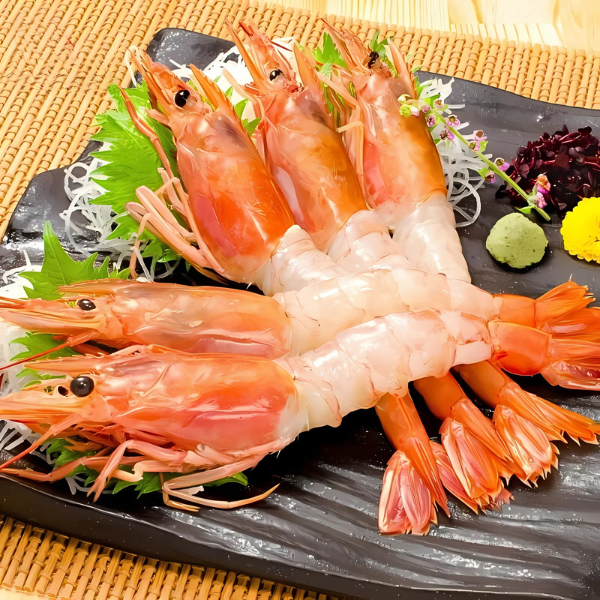 Tôm đỏ sống giá sỉ 