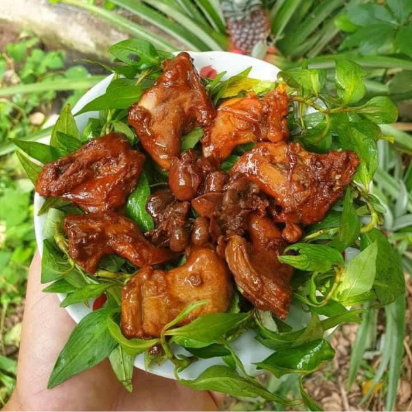 Thịt chuột đồng giá sỉ