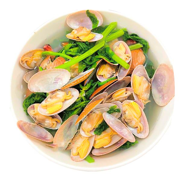 ngao vàng giá sỉ