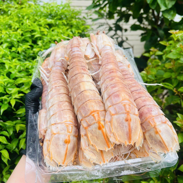 Bề bề chúa giá sỉ